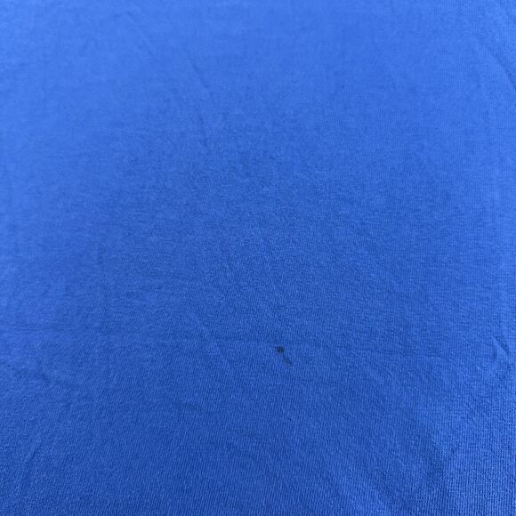 Case Western Reserve Shirt Mens Large Blue Biomedical Engineering BME Devil Tee - Picture 3 of 9